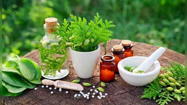 آموزش گیاهان دارویی