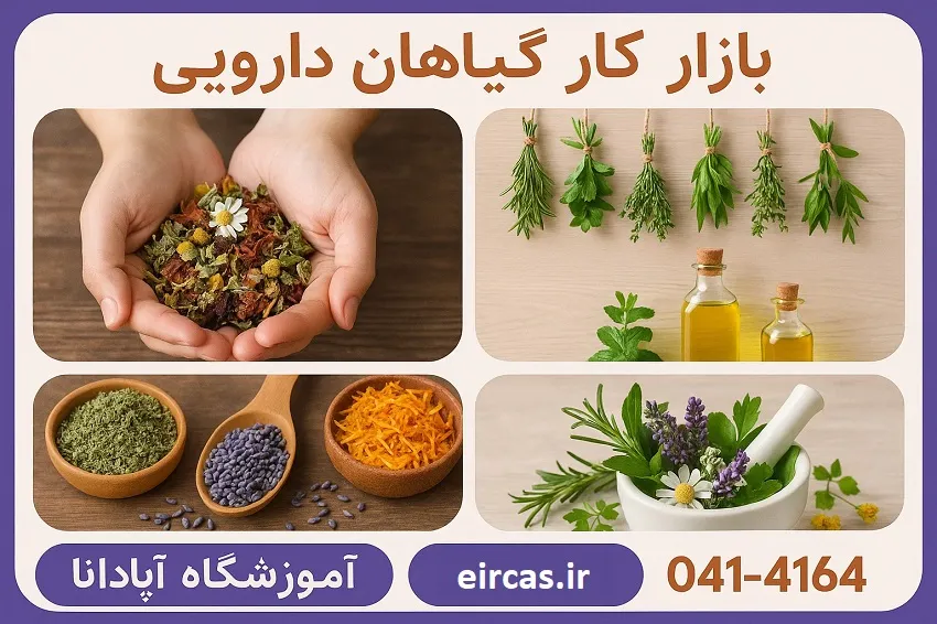 بازار کار گیاهان دارویی_ آموزشگاه آپادانا