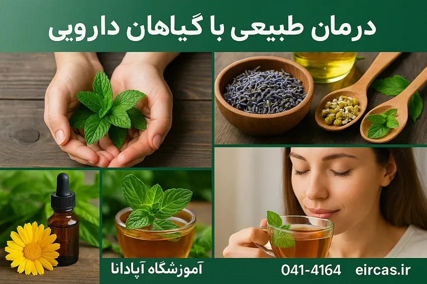 درمان طبیعی با گیاهان دارویی در تبریز-آموزشگاه آپادانا