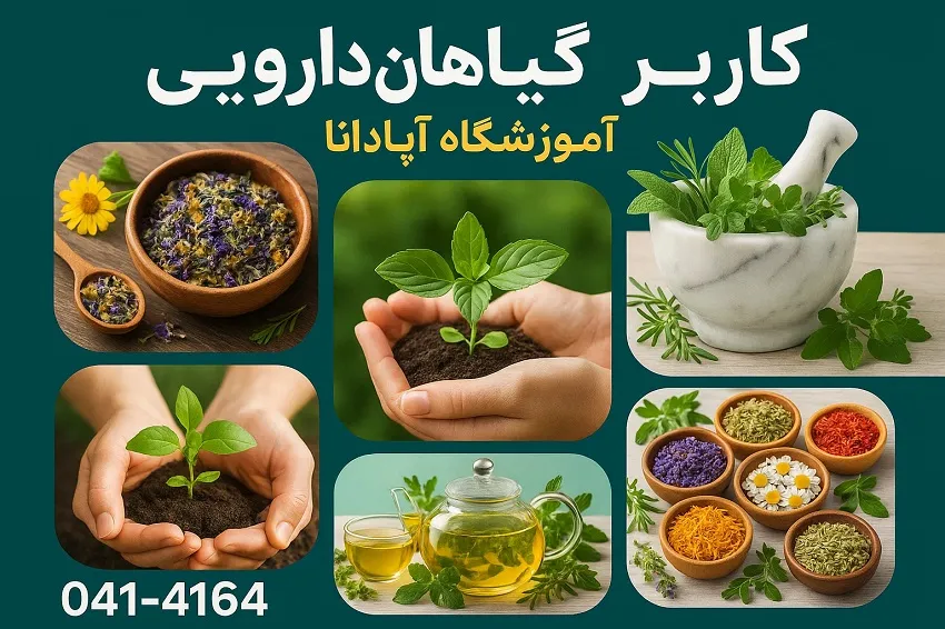 سرفصل های کلیدی دوره آموزشی کاربر گیاهان دارویی-آموزشگاه آپادانا